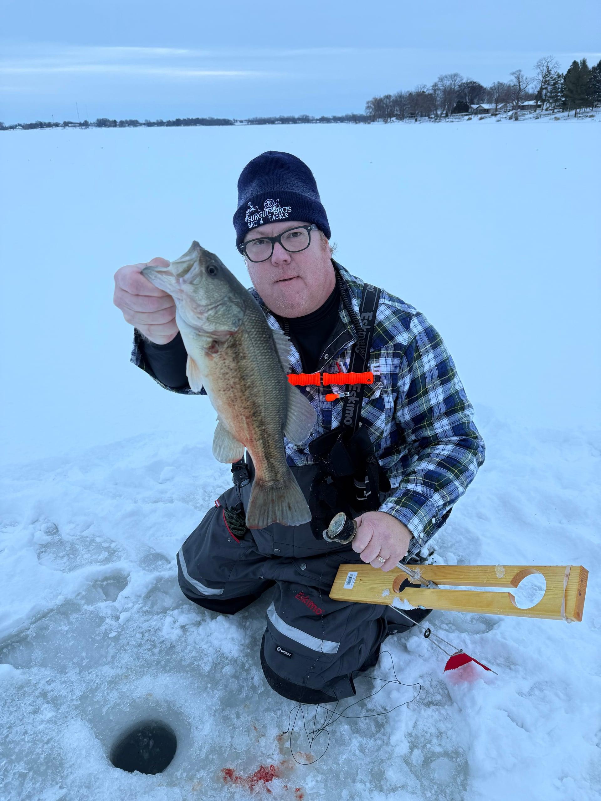 Largemouth Bass from Beaver Dam, WI