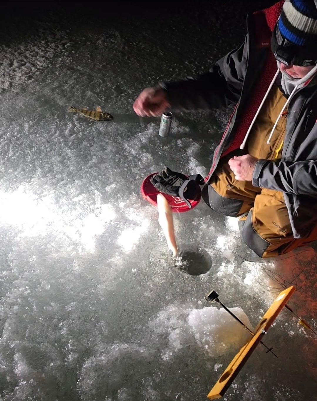 Walleye from Beaver Dam, WI